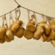 Scamorza Käse aus Trentino