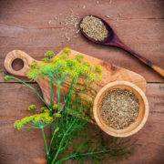 Fenchel