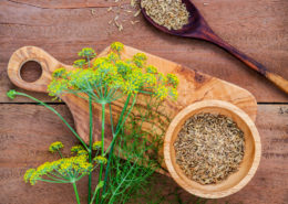 Fenchel