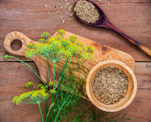 Fenchel