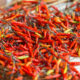 Piri-Piri Chilis