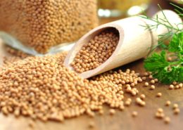 Senfkörner