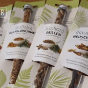 essbare Insektenarten