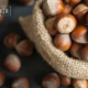 Haselnuss